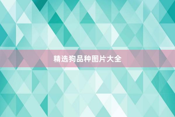 精选狗品种图片大全