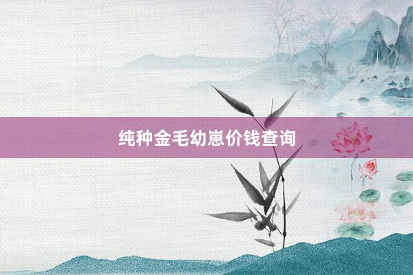 纯种金毛幼崽价钱查询