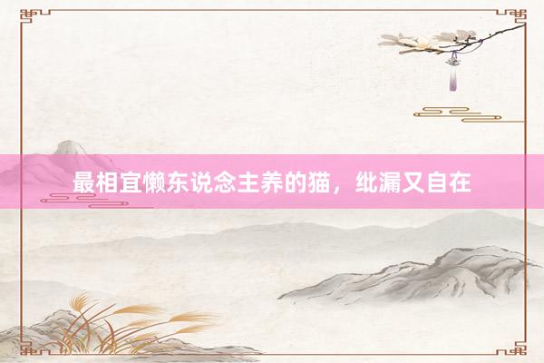 最相宜懒东说念主养的猫，纰漏又自在